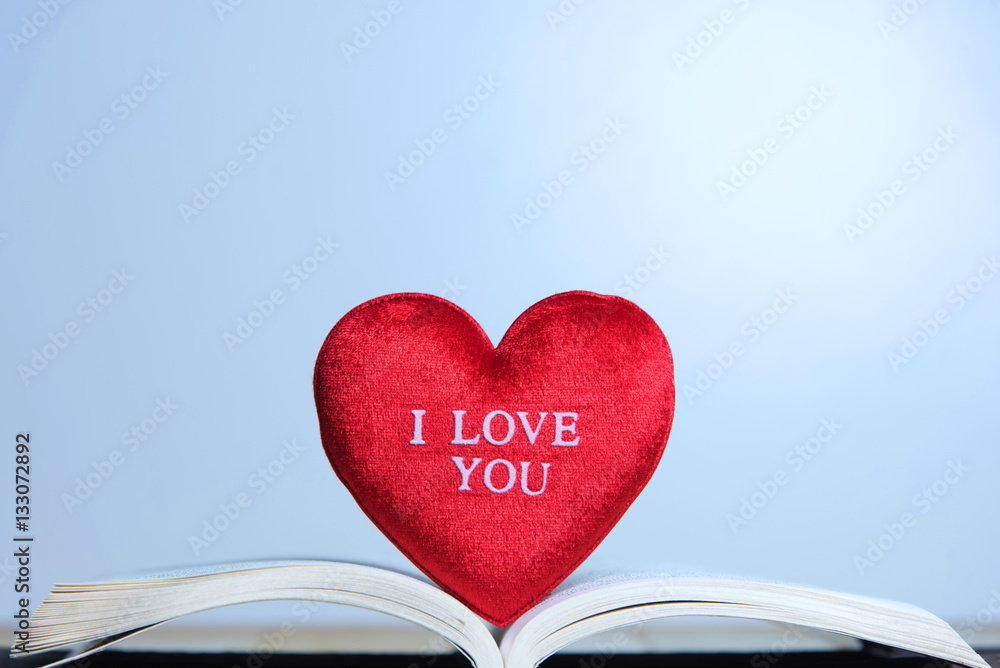 Red heart on book Red heart on book