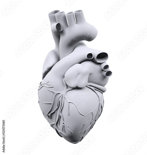 White human heart isolated on white background