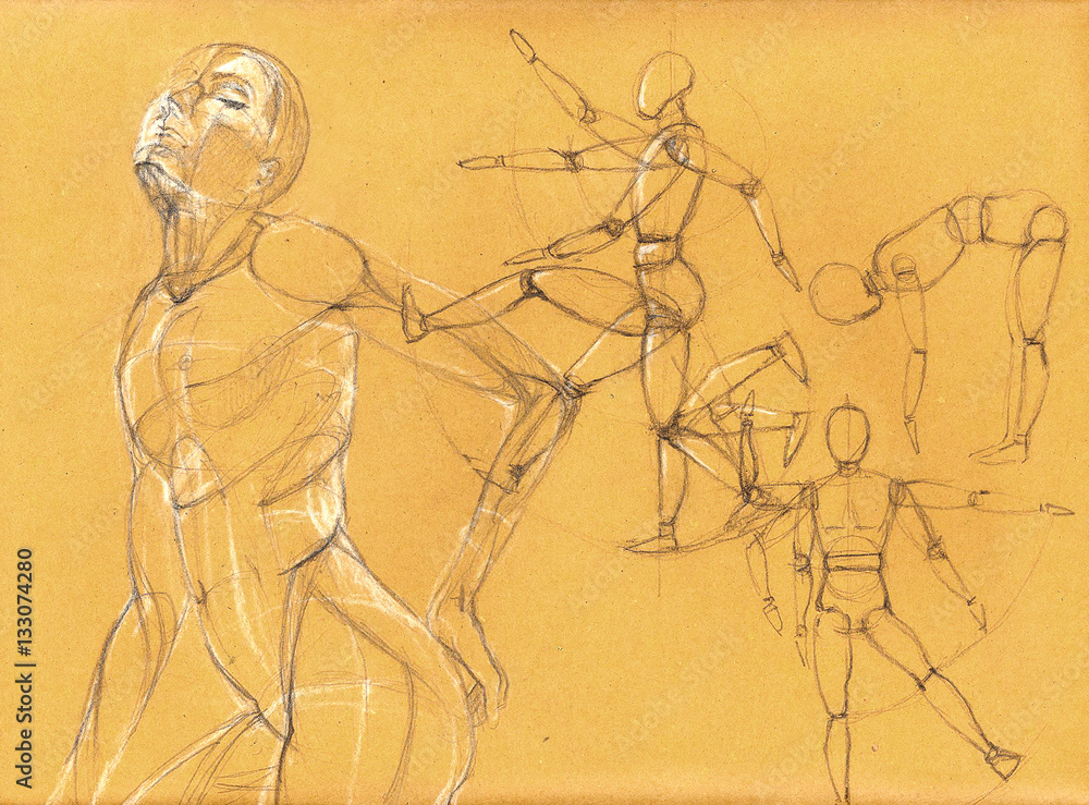 Pencil drawing of body poses Stock Illustration Adobe Stock