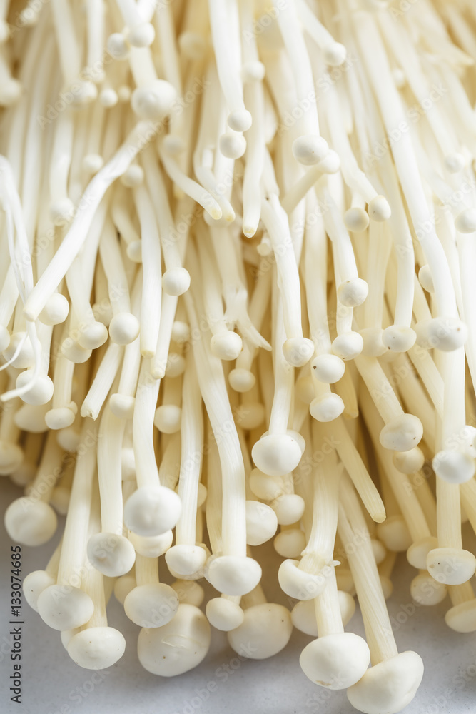 Fresh Enoki mushroom isolate on white background in Close-up shot Fresh Enoki mushroom isolate on white background in Close-up shot