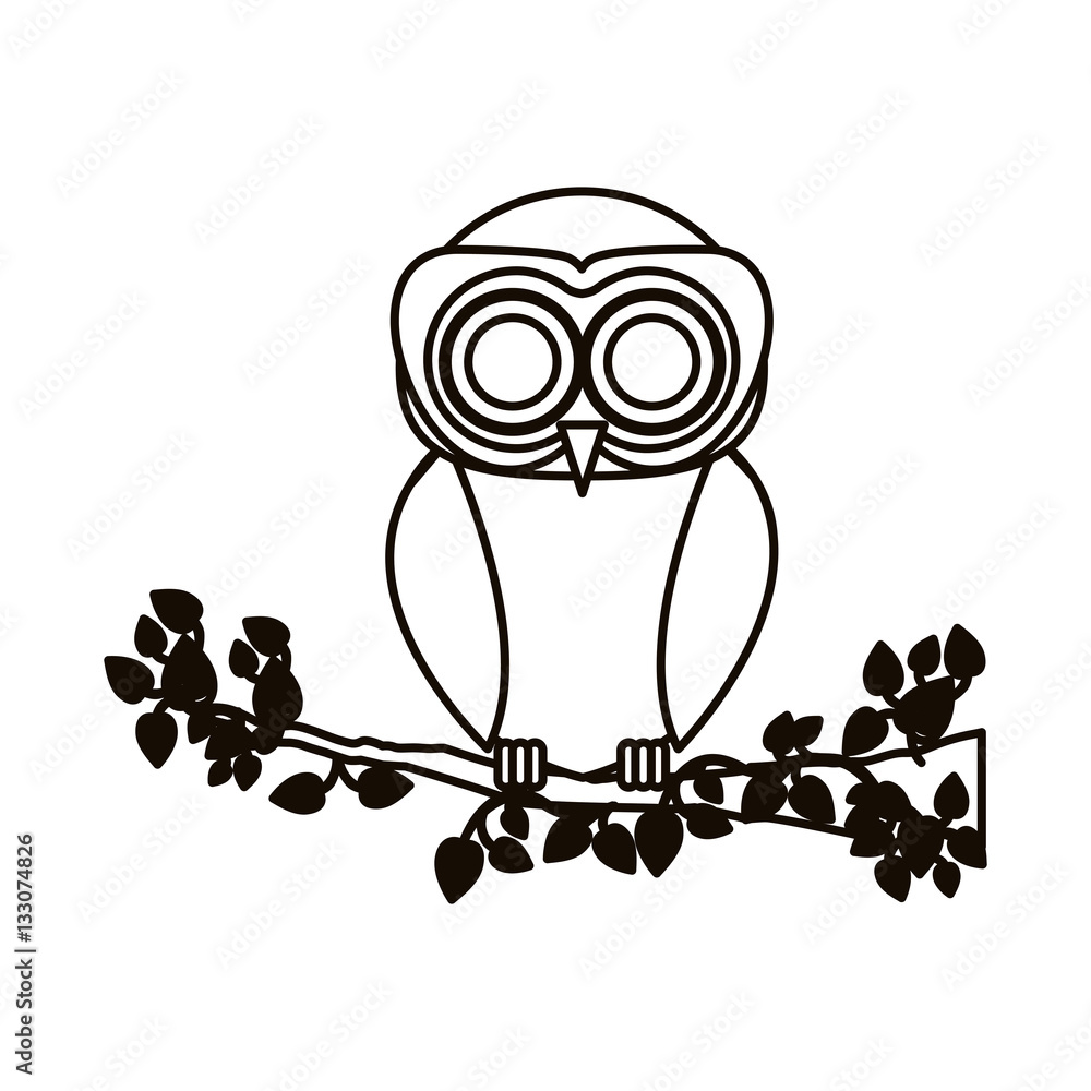 Obraz premium Owl cartoon icon. Bird animal and nature theme. Isolated design. Vector illustration