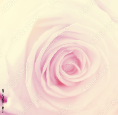 abstract nature flower background, color filter