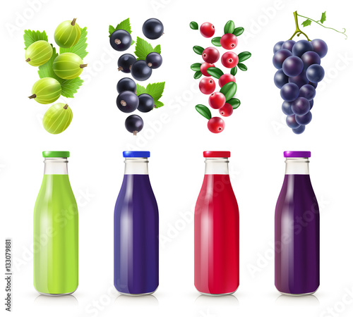 Realistic Bottles With Berry Juice Set