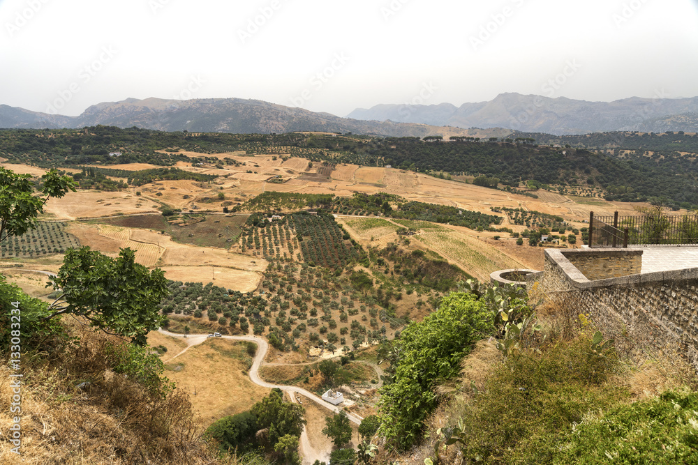 View from Ronda (Andalucia, Spain)