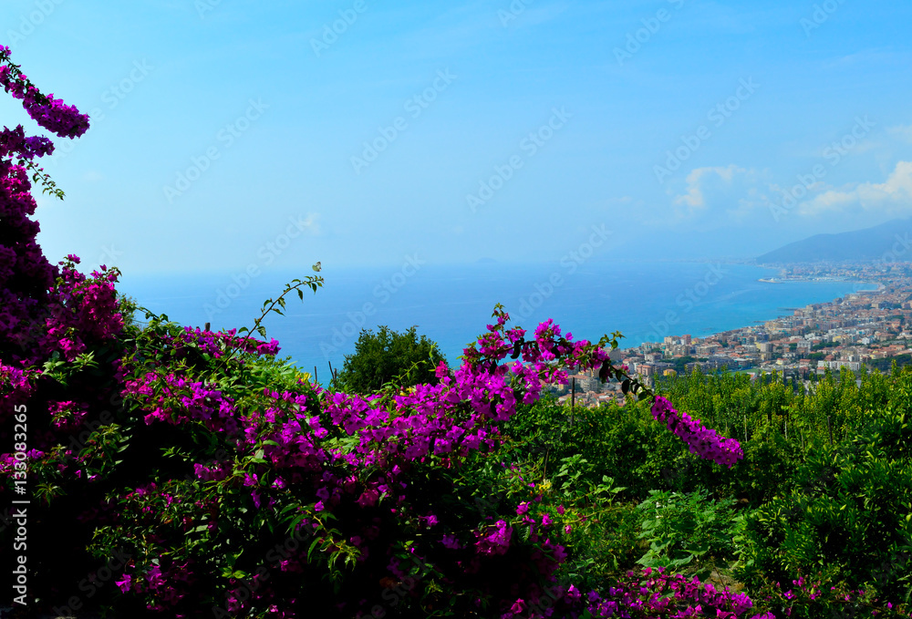 Obraz premium Fiori e Mare
