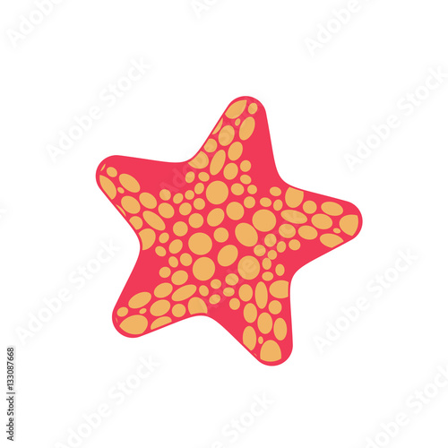 Starfish isolated. Sea animals on white background. aquatic moll