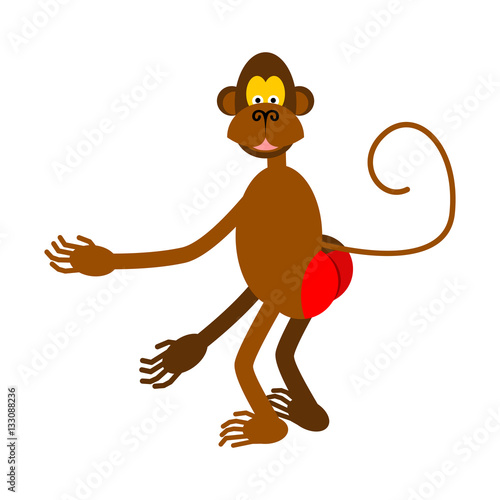 hamadryad isolated. monkey red butt on white background.