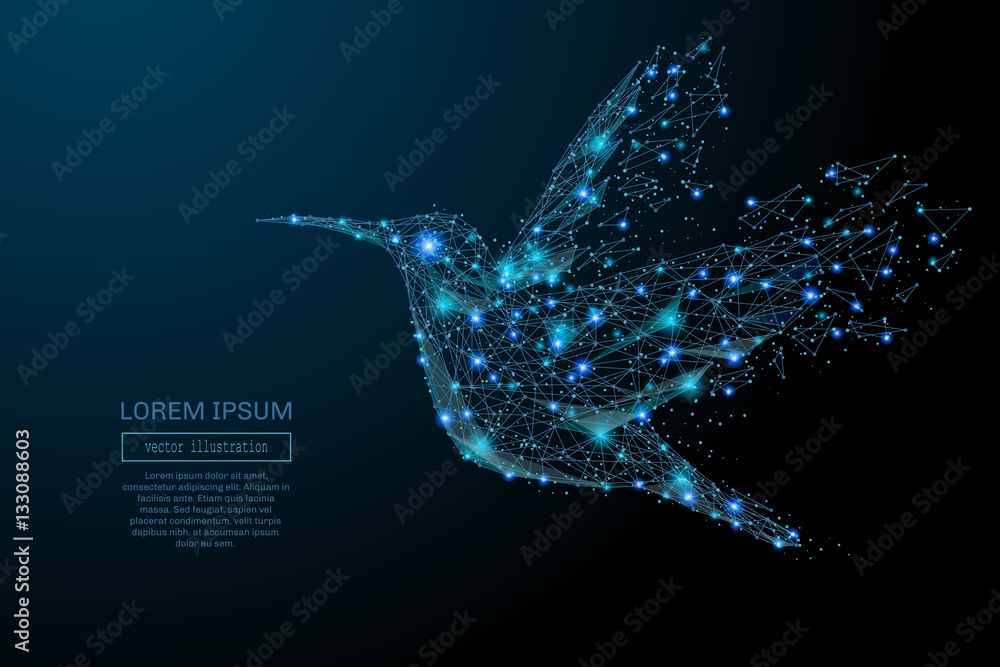 Naklejka premium Abstrakcyjny obraz colibri w postaci rozgwieżdżonego nieba lub przestrzeni, składający się z punktów, linii i kształtów w postaci planet, gwiazd i wszechświata. Koncepcja szkieletowy wektor Colibri.