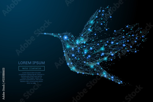 Abstract image of a colibri in the form of a starry sky or space, consisting of points, lines, and shapes in the form of planets, stars and the universe. Colibri vector wireframe concept.