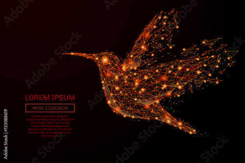 Abstract mash line and point colibri in flames style on dark background with an inscription. Business strategy of a starry sky or space, consisting of stars and the universe. Vector illustration