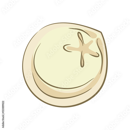 Dumpling isolated. Traditional Russian meat food on white backgr