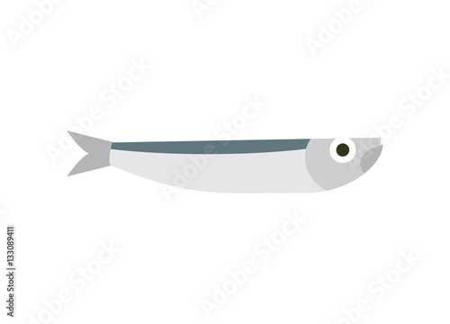 Anchovy isolated. small fish on white background
