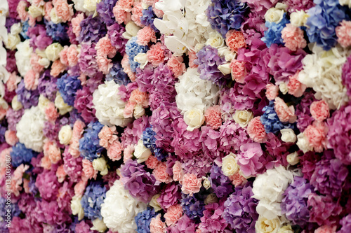 Lots of hydrangeas, roses and pinks make a colorful wall © IVASHstudio