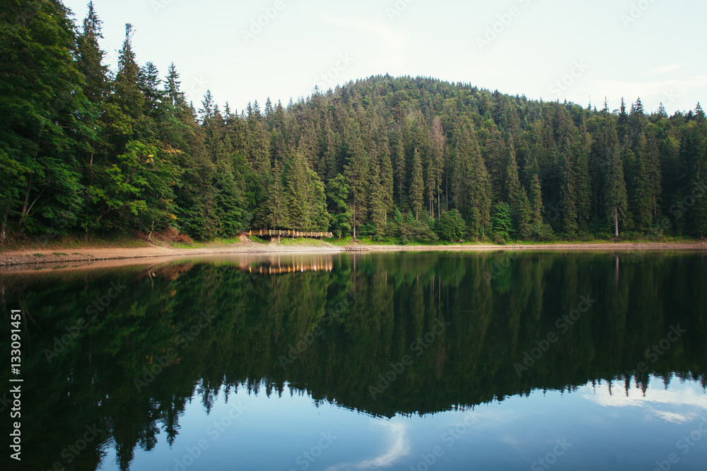 Lake Synevir in the Carpathians. Ukraine