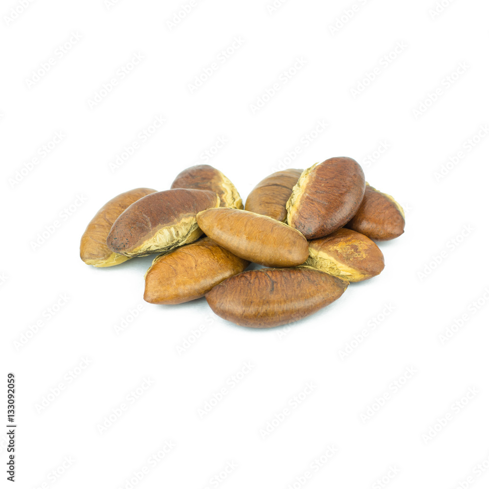 Roasted kayu seeds on white background (Irvingia malayana benn) Roasted kayu seeds on white background (Irvingia malayana benn)