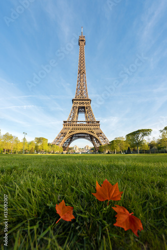 Sunny morning in Paris and Eiffel Tower with maple leaf at Paris