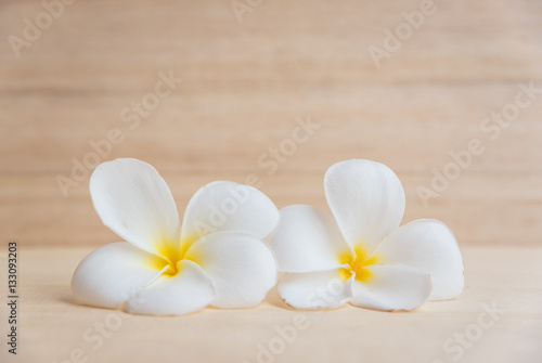 frangipani flower on a wooden background..