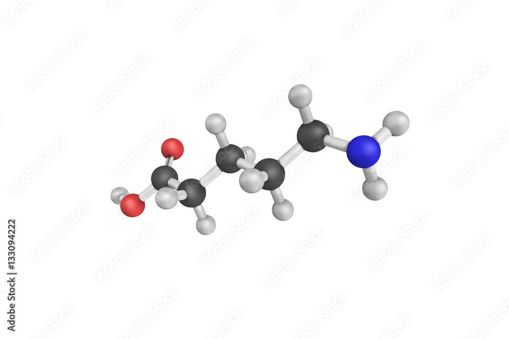 3d structure of Homopiperidinic acid, also known as 5-Aminovaler 3d structure of Homopiperidinic acid, also known as 5-Aminovaler