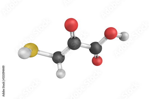 3d structure of Sodium mercaptopyruvate, an enzyme that catalyze