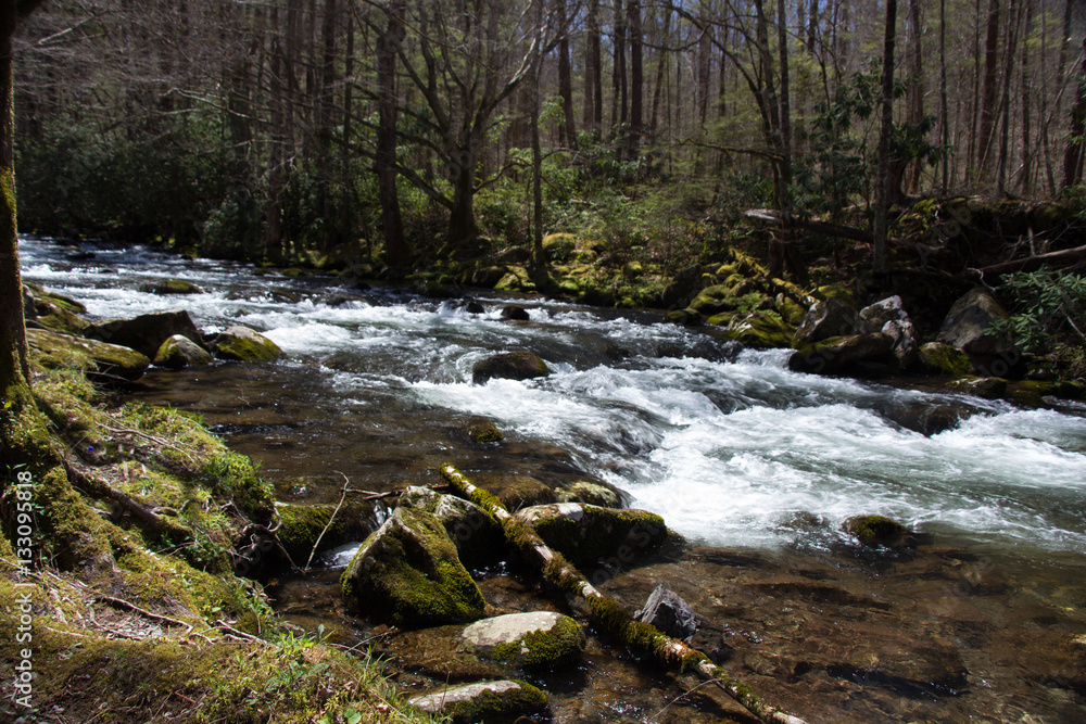 Stream Stream