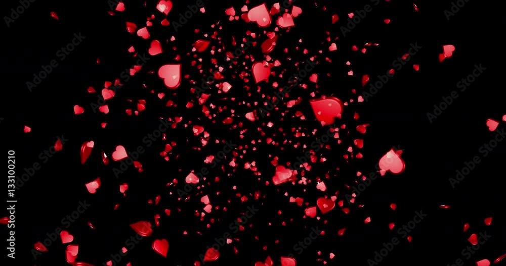 red colorful petals rose flying animation on black background, love and valentine day concept red colorful petals rose flying animation on black background, love and valentine day concept