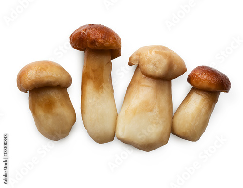 Edible forest wild mushrooms isolated on white background.