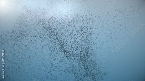 Swarm of Birds in the Sky