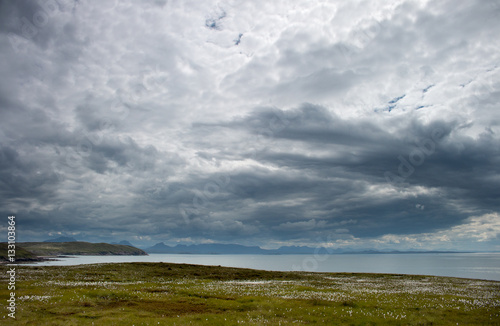 peat fluff in Scotland under thunderclouds © www.kiranphoto.nl