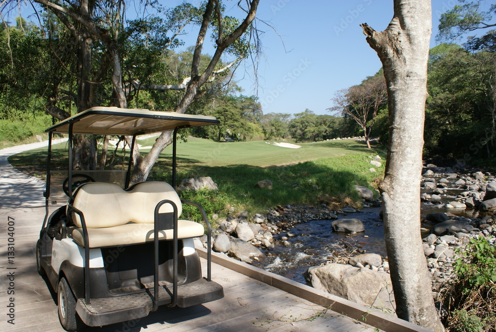 Golf cart over the river