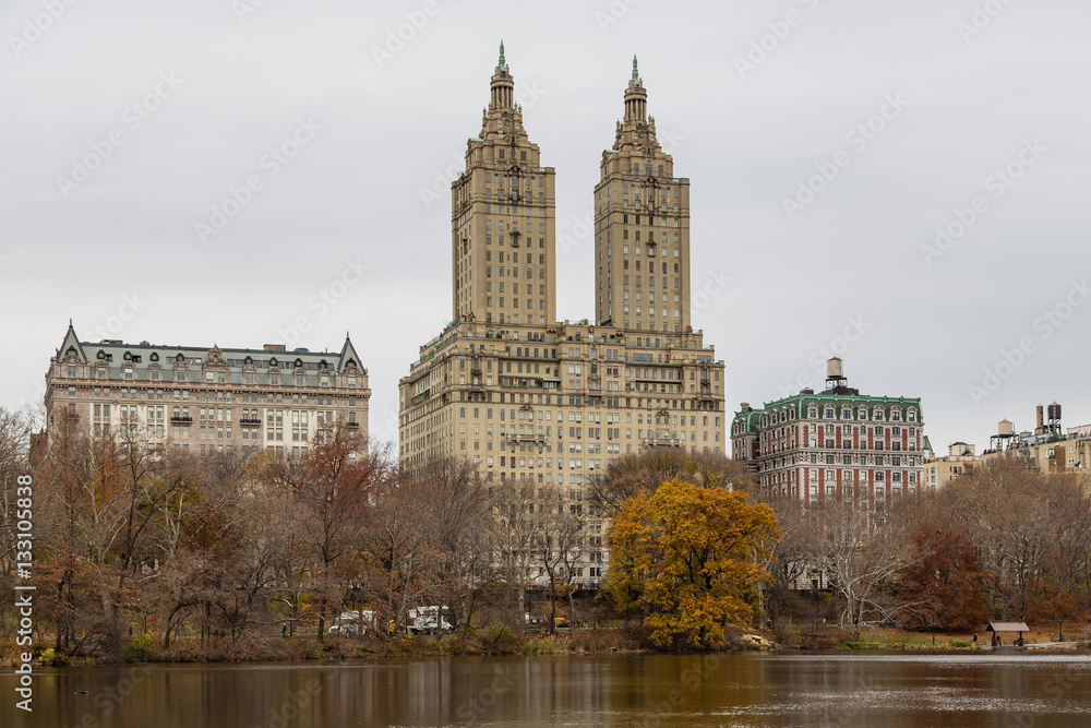 View of Central Park in December in New York