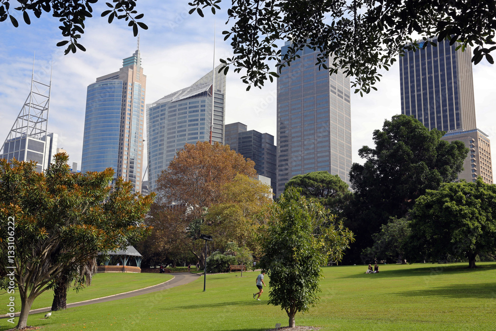 Sydney Botanic gardens with business district behind