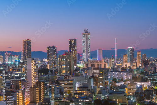 Tokyo city skyline at sunset © f11photo