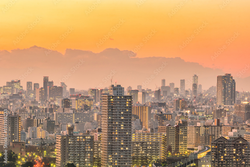 Fototapeta premium Tokyo city skyline at sunset