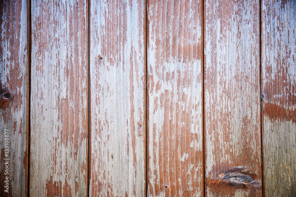 Obraz premium Wood background view