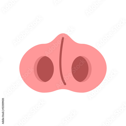 pig nose isolated. pigs snout on white background