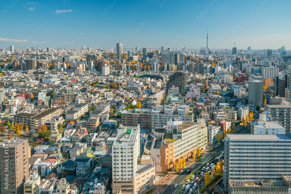 Fototapeta premium Downtown Tokyo skyline