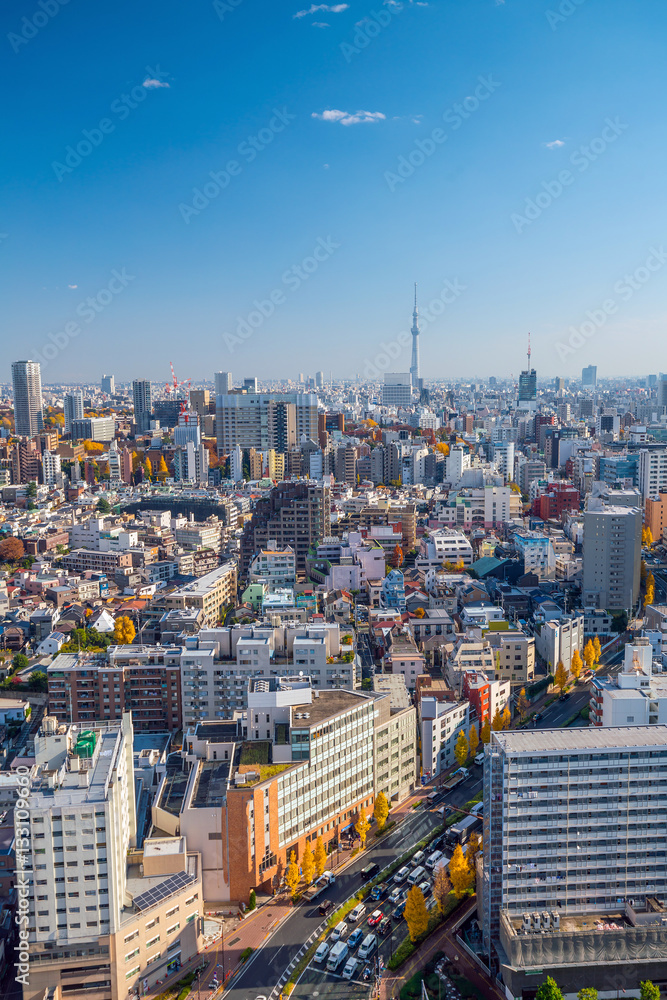 Naklejka premium Downtown Tokyo skyline
