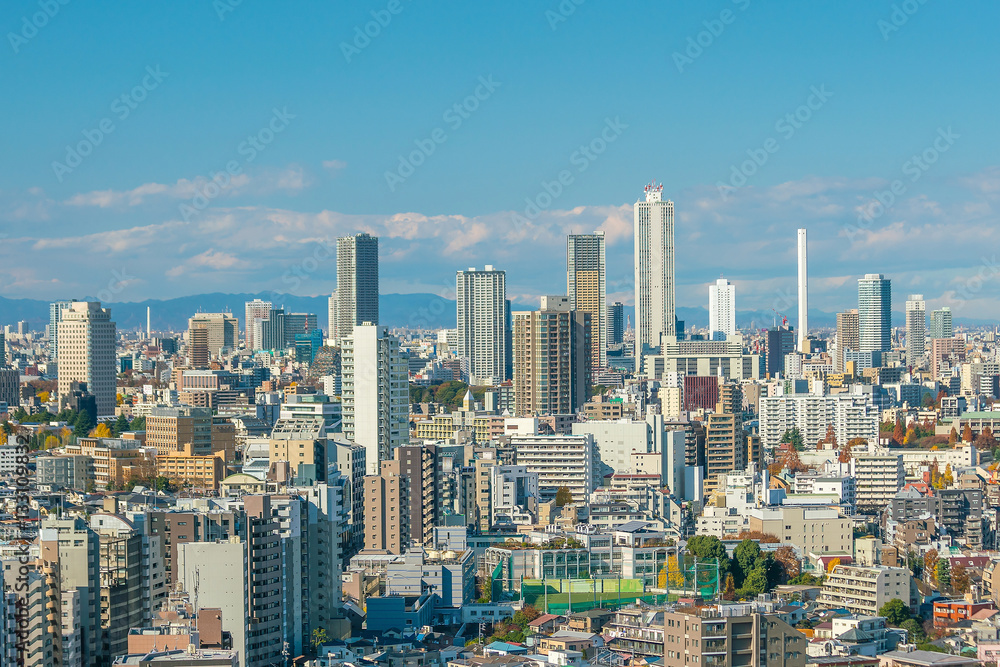 Fototapeta premium Downtown Tokyo skyline
