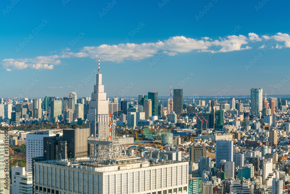 Fototapeta premium Downtown Tokyo skyline