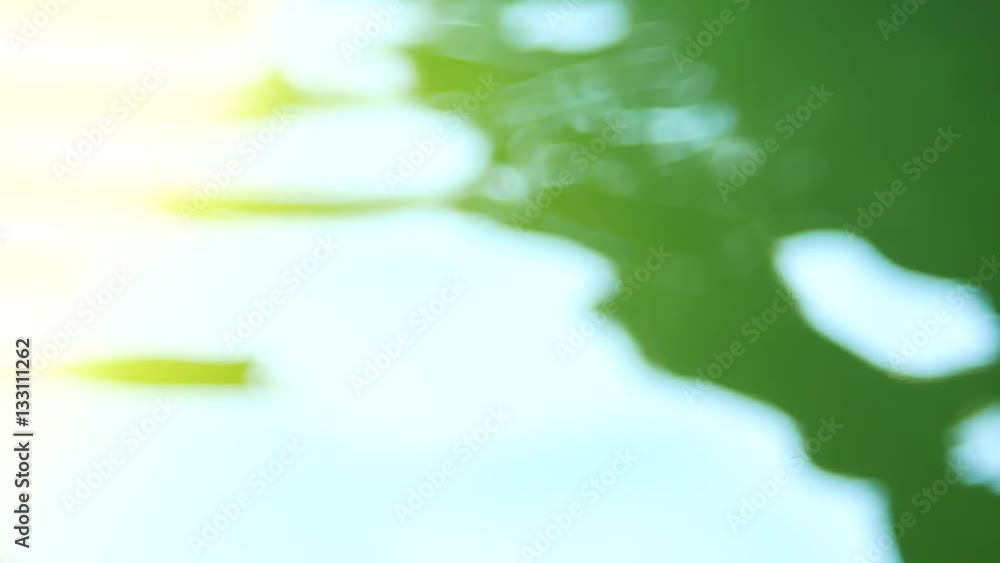 Calm river waves. Peaceful dreamy pippling zen pond. Calm river waves. Peaceful dreamy pippling zen pond.