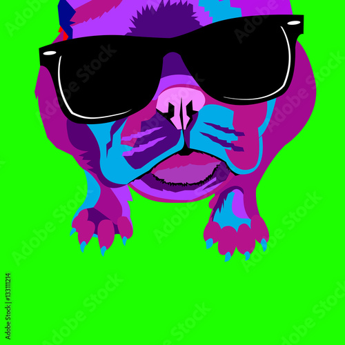 dog breed cute pet animal bulldog french