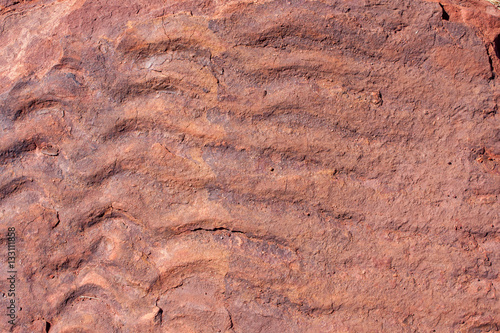 Patterns of Australia: Fossilized sand ripples in Lawn Hill NP © OPJK