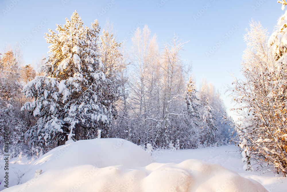 Snow drifts in the woods. Winter landscape. Snow drifts in the woods. Winter landscape.