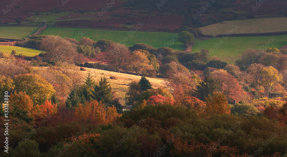 Dartmoor National Park. Hills.