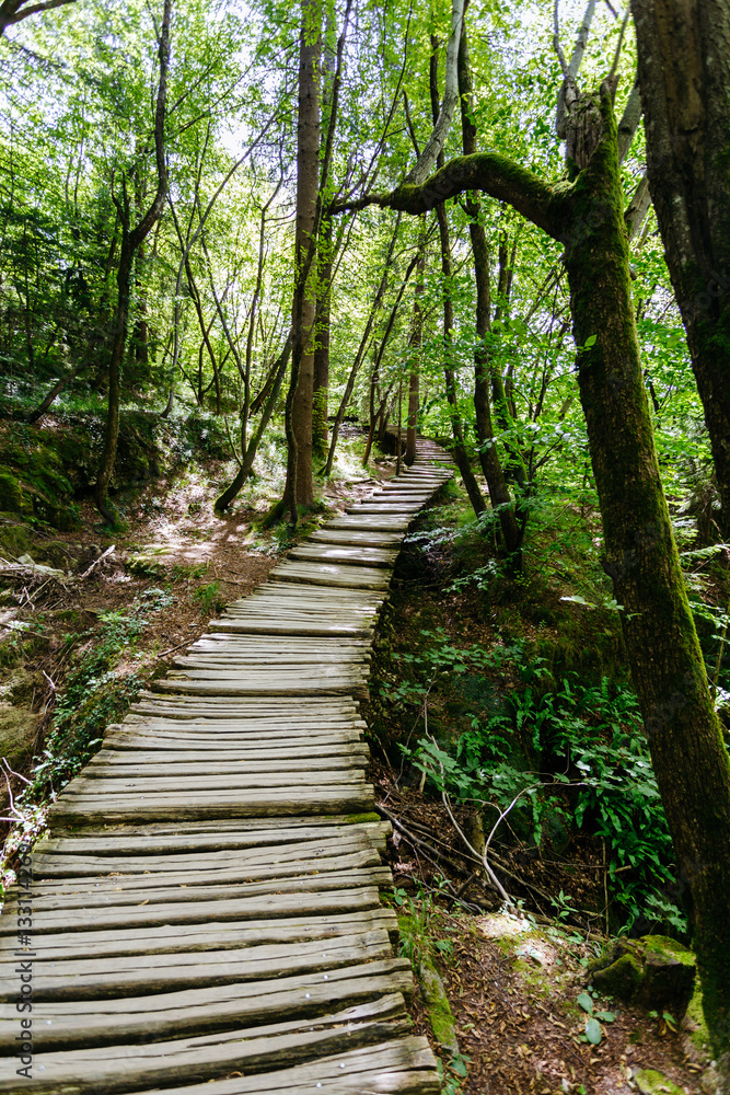 Stairs from the wood in the national park Plitvice Lakes Stairs from the wood in the national park Plitvice Lakes