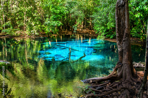 Blue or emerald pool in National park Sa Morakot, Krabi, Thailand. Fantastic blue lake in the middle of the rainforest. photo