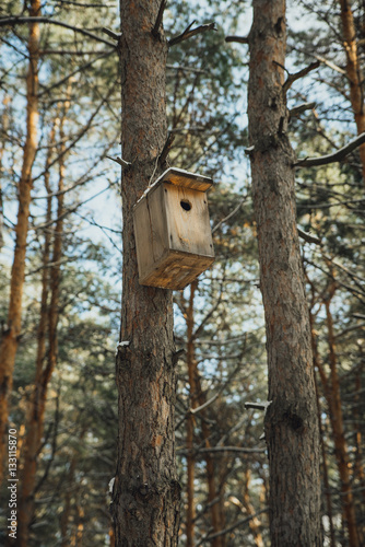 birdhouse in a tree in the winter forest