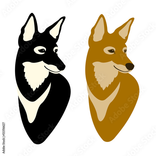 ethiopian wolf head  vector illustration style Flat set