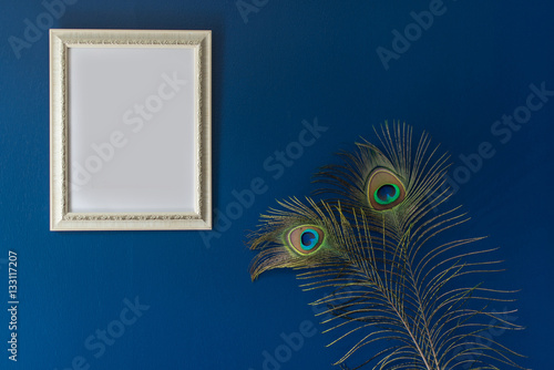 photo frame and peacock tail feathers