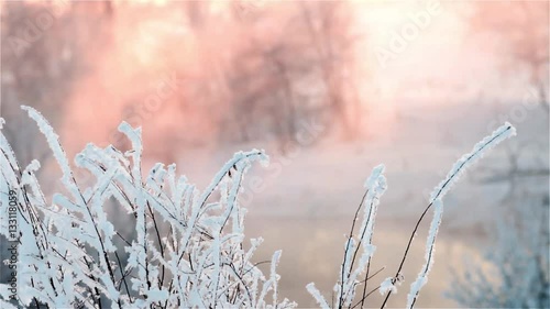 steam rises from river in winter forest